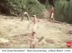 Fukuoka l�sst auf seinen Feldern mit
                    Stroh mulchen