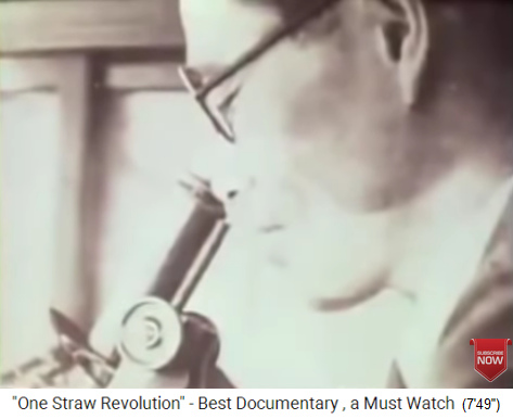 Masanobu
                      Fukuoka 1930er Jahre mit Pflanzenuntersuchungen am
                      Mikroskop