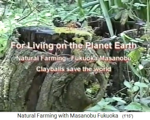 Filmtitel 2: "For Living on
                    the Planet Earth"