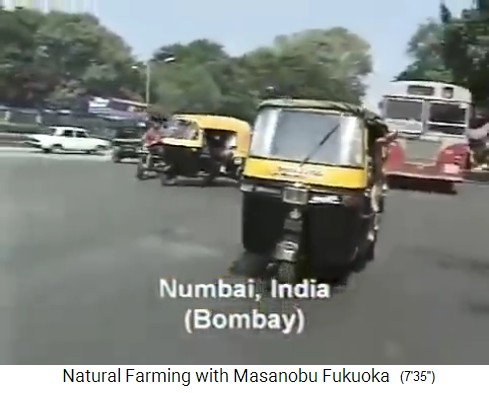 Fukuoka in Mumbai in Indien 1997 mit
                    Mototaxi
