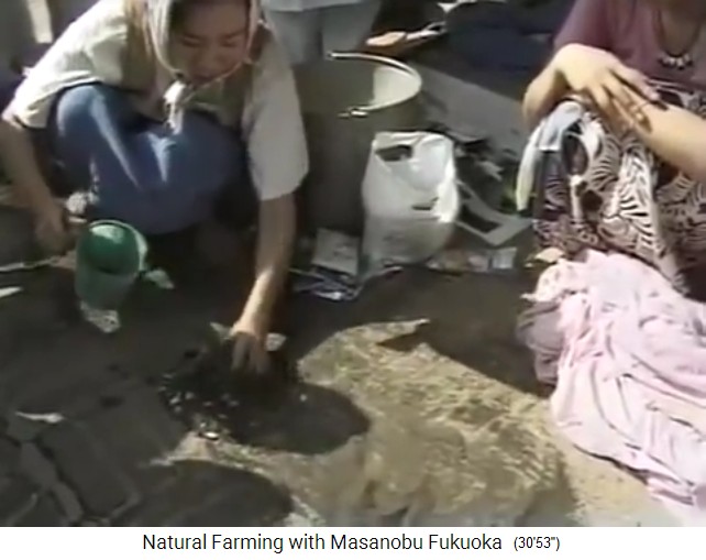 Fukuokas Samenbällchen herstellen: Der
                    Samen-Tonerdemischung wird Wasser dazugemischt 02
