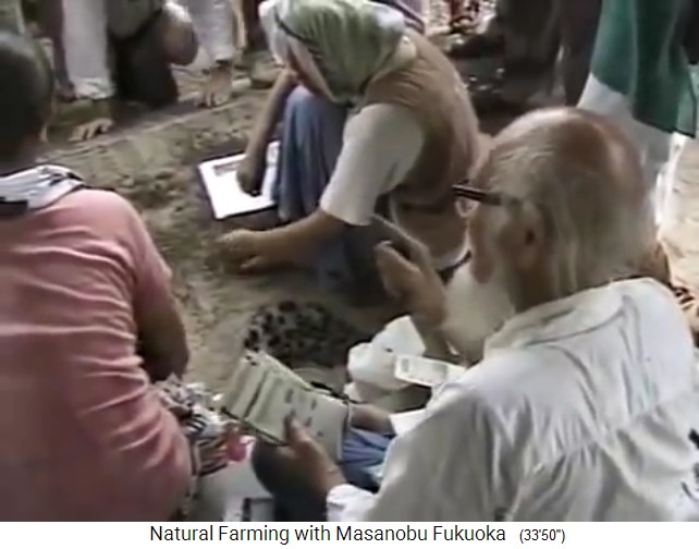 Indien: Vortrag von Fukuoka über
                    Samenbällchen