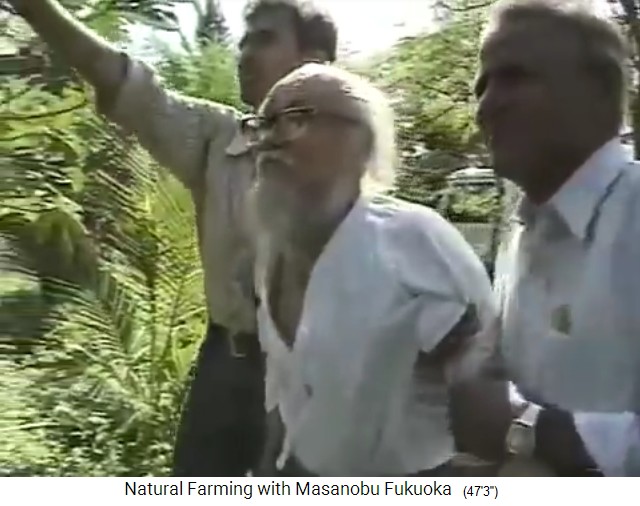 Fukuoka besucht einen
                    Waldgarten bei Mumbai 3 Jahre ohne Düngung