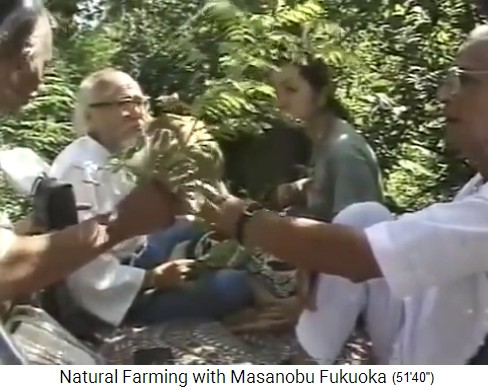 Fukuoka auf seiner Tour durch den
                    Bio-Waldgarten von Mr. Save in Valsad nördlich von
                    Mumbai 05