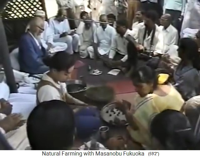 Indien 1997
                    Pressekonferenz: Es werden Samenbällchen
                    hergestellt