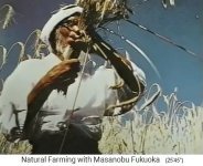 Fukuoka in
                    einem Gerstenfeld