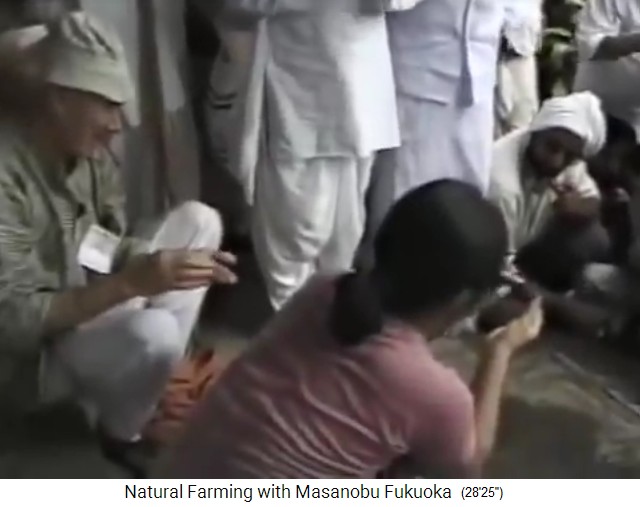 Workshop
                    in Indien: Aus Tonerde und Samen werden
                    Samenb�llchen hergestellt 01