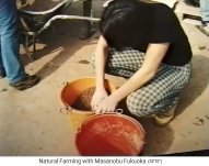 Betonmischer-Samenb�llschen:
                  Samenb�llschen werden vorbereitet