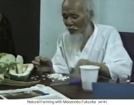 Fukuoka
                          sammelt Samen 03