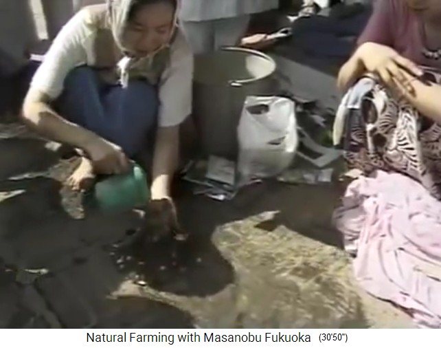 Fukuokas Samenb�llchen herstellen: Der
                    Samen-Tonerdemischung wird Wasser dazugemischt 01