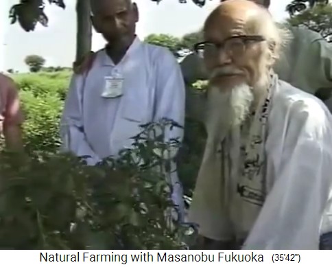 Indien: Vortrag von Fukuoka mit
                    Viruspflanze 03