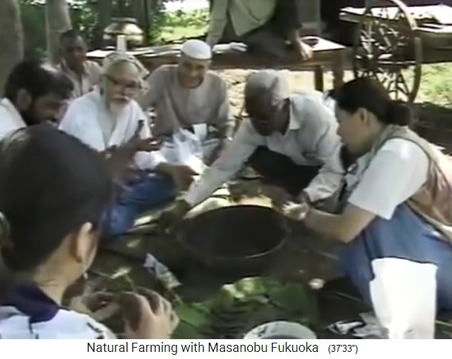 Fukuoka in Indien 1997: Eine
                    Gruppe macht Samenb�llchen