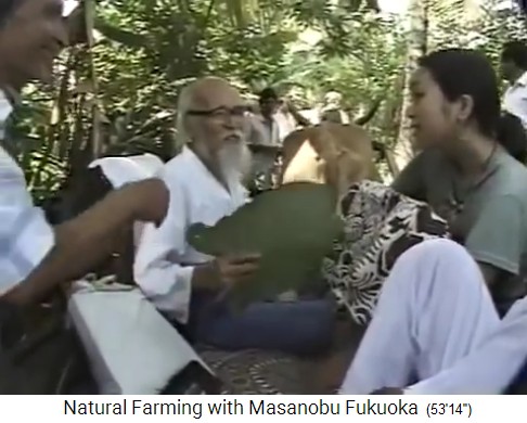 Fukuoka auf seiner Tour durch den
                    Bio-Waldgarten von Mr. Save in Valsad n�rdlich von
                    Mumbai 07