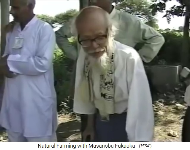 Indien 1997, Fukuoka auf einem Feld