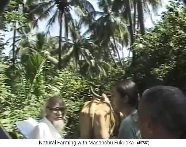 Fukuoka auf seiner Tour durch den
                    Bio-Waldgarten von Mr. Save in Valsad n�rdlich von
                    Mumbai 1