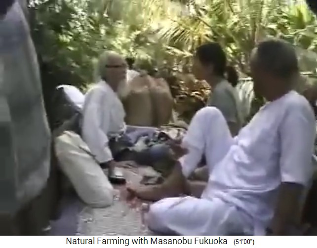 Fukuoka auf seiner Tour durch den
                    Bio-Waldgarten von Mr. Save in Valsad n�rdlich von
                    Mumbai 04