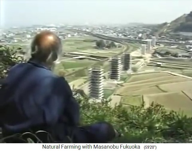 Die Schnellbahntrasse im Bau
                    wurde nie fertiggebaut