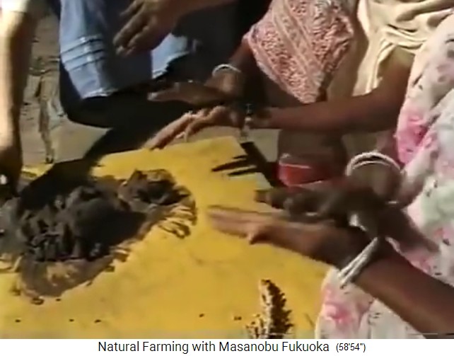 Indien 1997: Es werden
                    Samenb�llchen hergestellt