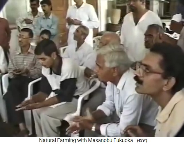 Indien 1997: Pressekonferenz
                    macht Samenb�llchen