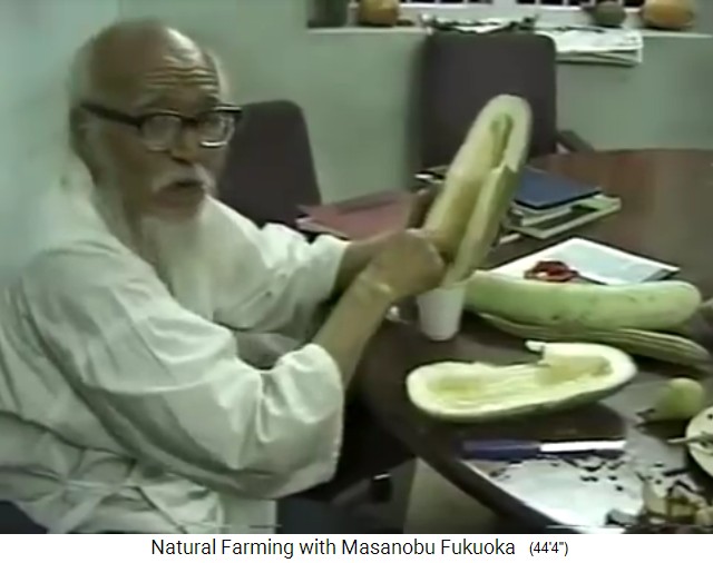 Fukuoka
                    sammelt Samen 01