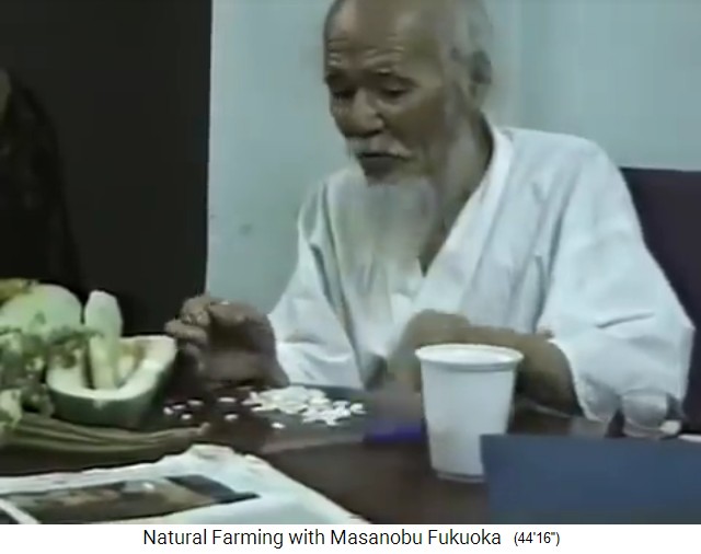 Fukuoka
                    sammelt Samen 03