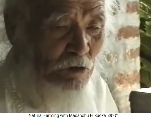 Indien 1997,
                    Fukuoka beim Vortrag: Die
                    Pestizid-Machinenlandwirtschaft zerst�rt den
                    Erdboden und produziert W�sten