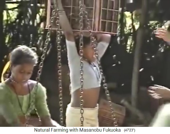 Waldgarten bei Mumbai 3 Jahre ohne D�ngung, die
                    Frauen tragen schwere Lasten auf dem Kopf