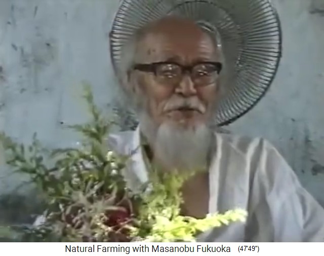 Pressekonferenz von Fukuoka in Dahanu
                    2-1 mit Pflanze