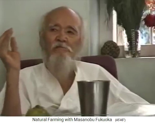 Fukuoka
                    in Dahanu, Indien 1997