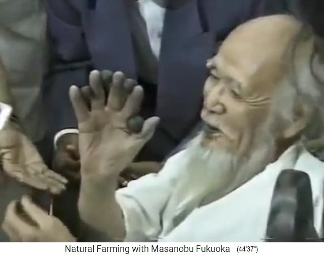 Pressekonferenz mit
                    Fukuoka in Dahanu 01, die Journalisten stecken ihm
                    Samenb�llchen zwischen die Finger der rechten Hand