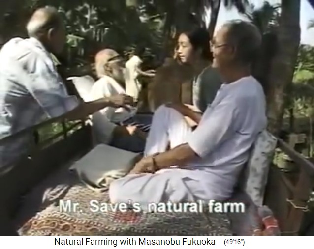 Salvad (Indien) 1997, Fukuoka besucht
                    den Bio-Waldgarten von Mr. Save in Valsad n�rdlich
                    von Mumbai