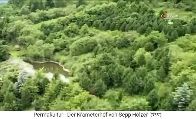 Uno de los 72 estanques
                    y lagos de monta�a en la granja Krameterhof