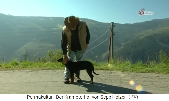 el pionero de la permacultura
                    Sepp Holzer con el perro Laika