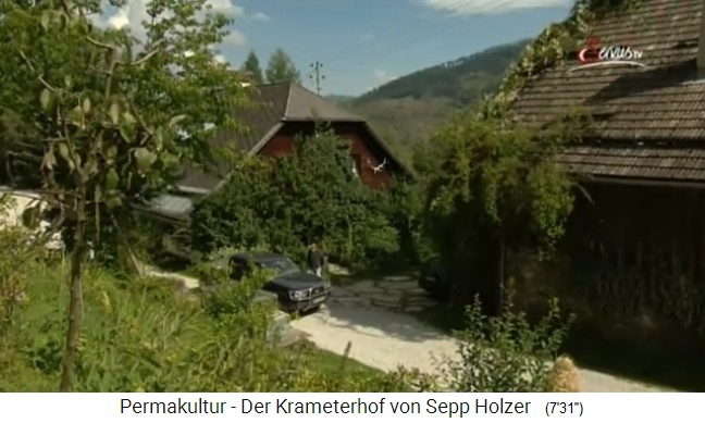La granja Krameterhof de
                    Sepp Holzer: un estanque para peces en el
                    Krameterhof, uno de los 72 estanques y lagos de
                    monta�a.