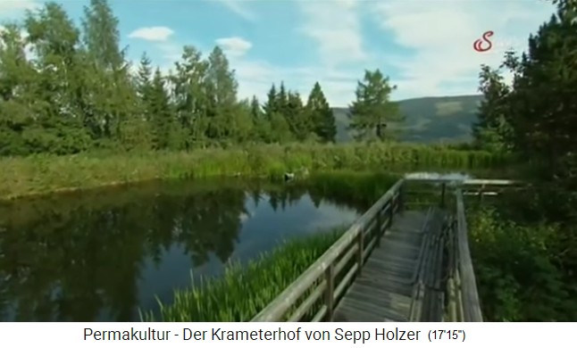 estanque grande en la granja Krameterhof, uno
                    de los 72 estanques y lagos de monta�a