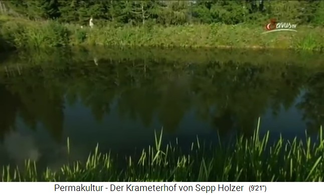La granja Krameterhof de
                    Sepp Holzer: un estanque para peces en el
                    Krameterhof, uno de los 72 estanques y lagos de
                    monta�a.