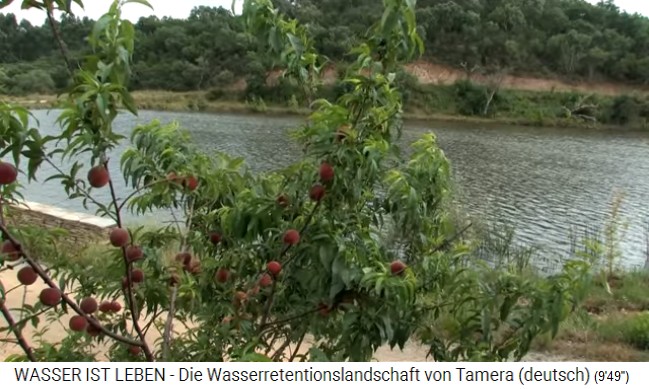 Tamera (Portugal) mit See 1 mit
                      einem Apfelbaum 1