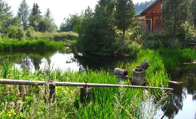 La granja Krameterhof de Sepp Holzer:
                    la casa del medio con su sistema de estanques en
                    forma circular