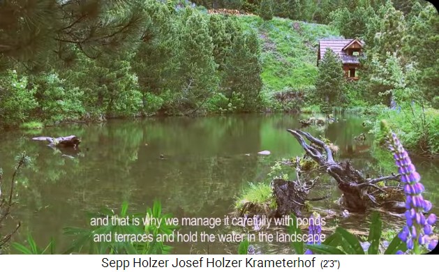 Granja
                    Krameterhof de Sepp Holzer: El estanque más alto con
                    la casa más alta
