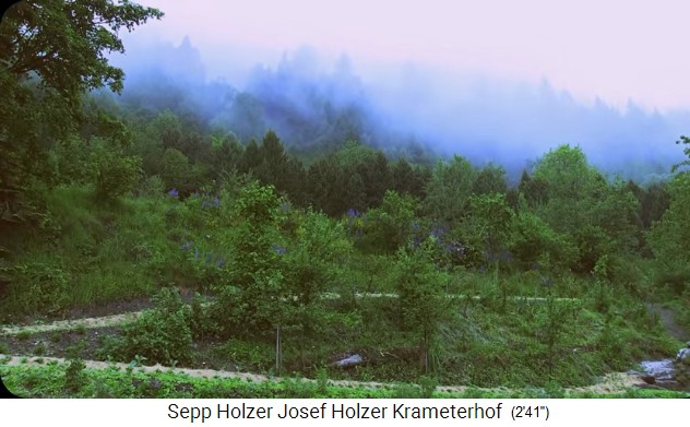 La granja Krameterhof de Sepp Holzer:
                    campo cuadrado