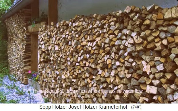 La granja
                    Krameterhof de Sepp Holzer: madera batida, leña,
                    madera energética
