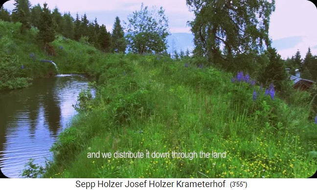 Granja
                    Krameterhof de Sepp Holzer: un estanque del conjunto
                    alto de estanques