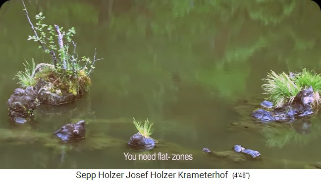 La granja
                    Krameterhof de Sepp Holzer: Un estanque con conchas
                    azules