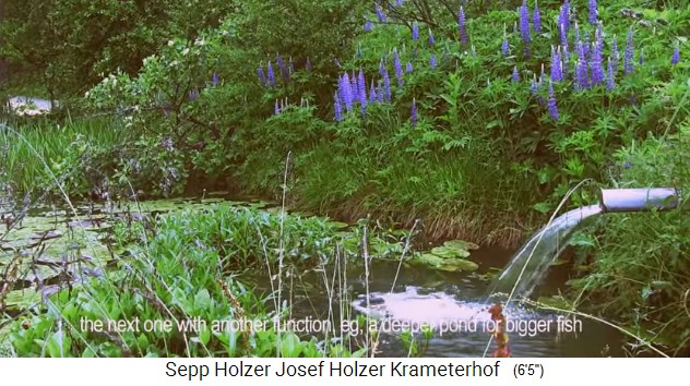 Granja
                    Krameterhof de Sepp Holzer: estanque de lirios como
                    un estanque de peces
