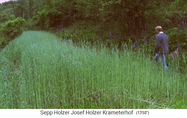 Granja Krameterhof de Sepp Holzer:
                            Terraza con centeno bienal sin pesticidas
                            03