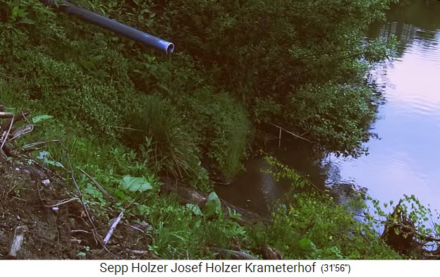 Pescar en la granja
                    Krameterhof de Sepp Holzer: bajando el nivel de un
                    estanque, la tubería de salida sin agua