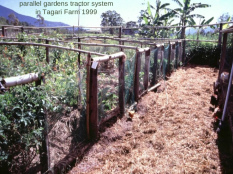 Tagari Farm,
                          rectangular planting beds with chicken station
                          1999