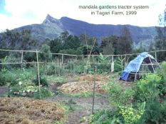 Tagari Farm, garden
                          with mandala chicken station 1999