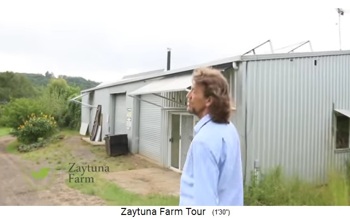 Zaytuna Farm, solar power production plant