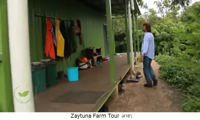 Zaytuna Farm, schooling center made
                    of ship containers
